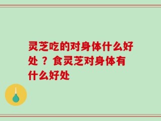 灵芝吃的对身体什么好处 ？食灵芝对身体有什么好处