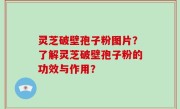 灵芝破壁孢子粉图片？了解灵芝破壁孢子粉的功效与作用？