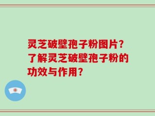 灵芝破壁孢子粉图片？了解灵芝破壁孢子粉的功效与作用？