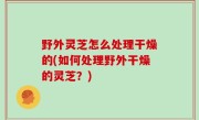 野外灵芝怎么处理干燥的(如何处理野外干燥的灵芝？)
