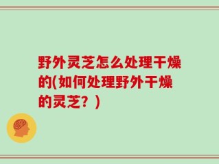 野外灵芝怎么处理干燥的(如何处理野外干燥的灵芝？)