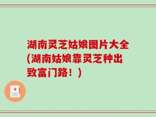 湖南灵芝姑娘图片大全(湖南姑娘靠灵芝种出致富门路！)