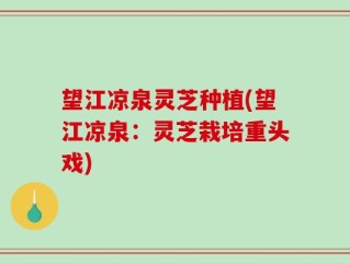 望江凉泉灵芝种植(望江凉泉：灵芝栽培重头戏)
