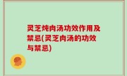灵芝炖肉汤功效作用及禁忌(灵芝肉汤的功效与禁忌)