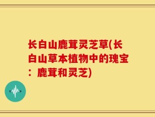 长白山鹿茸灵芝草(长白山草本植物中的瑰宝：鹿茸和灵芝)