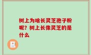 树上为啥长灵芝孢子粉呢？树上长像灵芝的是什么