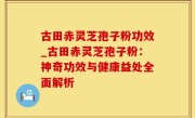 古田赤灵芝孢子粉功效_古田赤灵芝孢子粉：神奇功效与健康益处全面解析