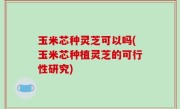 玉米芯种灵芝可以吗(玉米芯种植灵芝的可行性研究)