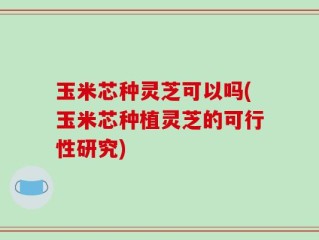 玉米芯种灵芝可以吗(玉米芯种植灵芝的可行性研究)