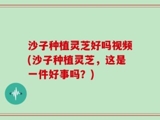 沙子种植灵芝好吗视频(沙子种植灵芝，这是一件好事吗？)