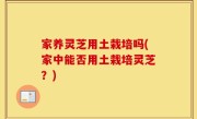 家养灵芝用土栽培吗(家中能否用土栽培灵芝？)