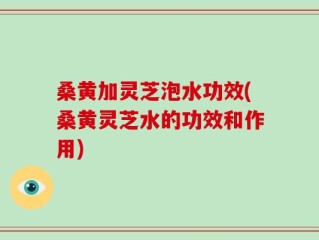 桑黄加灵芝泡水功效(桑黄灵芝水的功效和作用)