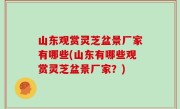 山东观赏灵芝盆景厂家有哪些(山东有哪些观赏灵芝盆景厂家？)