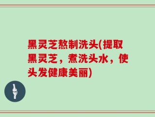 黑灵芝熬制洗头(提取黑灵芝，煮洗头水，使头发健康美丽)
