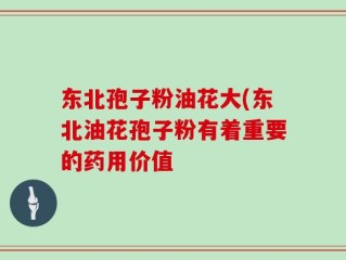 东北孢子粉油花大(东北油花孢子粉有着重要的药用价值