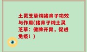土灵芝草炖猪鼻子功效与作用(猪鼻子炖土灵芝草：健脾开胃，促进免疫！)