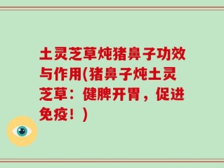 土灵芝草炖猪鼻子功效与作用(猪鼻子炖土灵芝草：健脾开胃，促进免疫！)