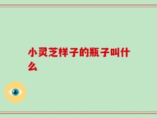 小灵芝样子的瓶子叫什么