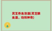 灵芝养虫泡酒(灵芝酿虫酒，功效神奇)