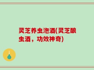 灵芝养虫泡酒(灵芝酿虫酒，功效神奇)
