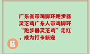 广东省带鸡脚环跑步器灵芝鸡广东人带鸡脚环“跑步器灵芝鸡”走红，成为打卡新宠