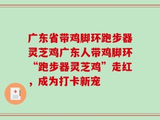 广东省带鸡脚环跑步器灵芝鸡广东人带鸡脚环“跑步器灵芝鸡”走红，成为打卡新宠