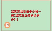 活灵芝盆景值多少钱一棵(活灵芝盆景单价多少？)