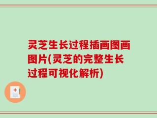 灵芝生长过程插画图画图片(灵芝的完整生长过程可视化解析)