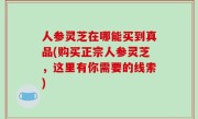 人参灵芝在哪能买到真品(购买正宗人参灵芝，这里有你需要的线索)