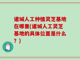 诸城人工种植灵芝基地在哪里(诸城人工灵芝基地的具体位置是什么？)