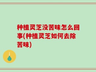 种植灵芝没苦味怎么回事(种植灵芝如何去除苦味)