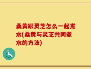 桑黄跟灵芝怎么一起煮水(桑黄与灵芝共同煮水的方法)