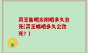 灵芝能晒太阳晒多久会死(灵芝曝晒多久会致死？)