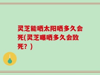 灵芝能晒太阳晒多久会死(灵芝曝晒多久会致死？)