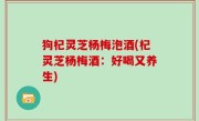 狗杞灵芝杨梅泡酒(杞灵芝杨梅酒：好喝又养生)