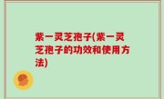 紫一灵芝孢子(紫一灵芝孢子的功效和使用方法)