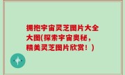 拥抱宇宙灵芝图片大全大图(探索宇宙奥秘，精美灵芝图片欣赏！)