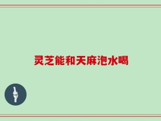 灵芝能和天麻泡水喝