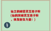 仙之鹤破壁灵芝孢子粉(仙鹤突破灵芝孢子粉，焕发新生力量！)