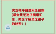 灵芝孢子图谱大全最新(最全灵芝孢子图谱汇总，助您了解灵芝孢子的秘密！)