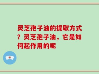 灵芝孢子油的提取方式？灵芝孢子油，它是如何起作用的呢