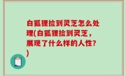 白狐狸捡到灵芝怎么处理(白狐狸捡到灵芝，展现了什么样的人性？)