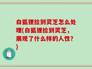 白狐狸捡到灵芝怎么处理(白狐狸捡到灵芝，展现了什么样的人性？)