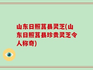 山东日照莒县灵芝(山东日照莒县珍贵灵芝令人称奇)