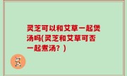 灵芝可以和艾草一起煲汤吗(灵芝和艾草可否一起煮汤？)