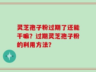 灵芝孢子粉过期了还能干嘛？过期灵芝孢子粉的利用方法？