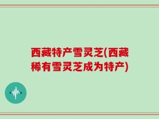 西藏特产雪灵芝(西藏稀有雪灵芝成为特产)
