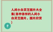 人间小白灵芝图片大全集(各种各样的人间小白灵芝图片，图片欣赏)