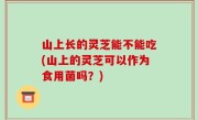 山上长的灵芝能不能吃(山上的灵芝可以作为食用菌吗？)