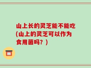 山上长的灵芝能不能吃(山上的灵芝可以作为食用菌吗？)